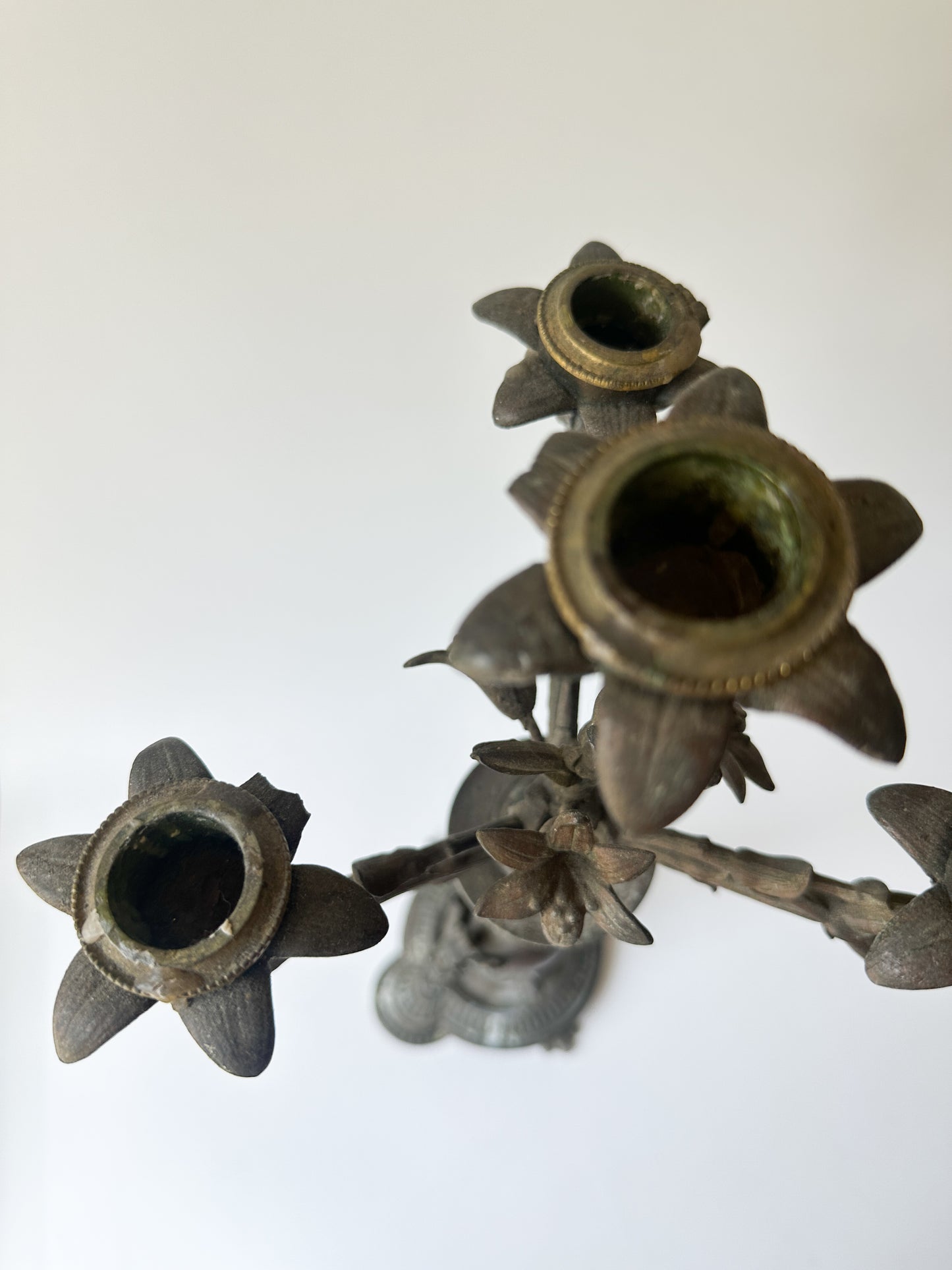 Antique Solid Bronze Four Arm Candelabras (Pair) - Winged Lions and Flowers