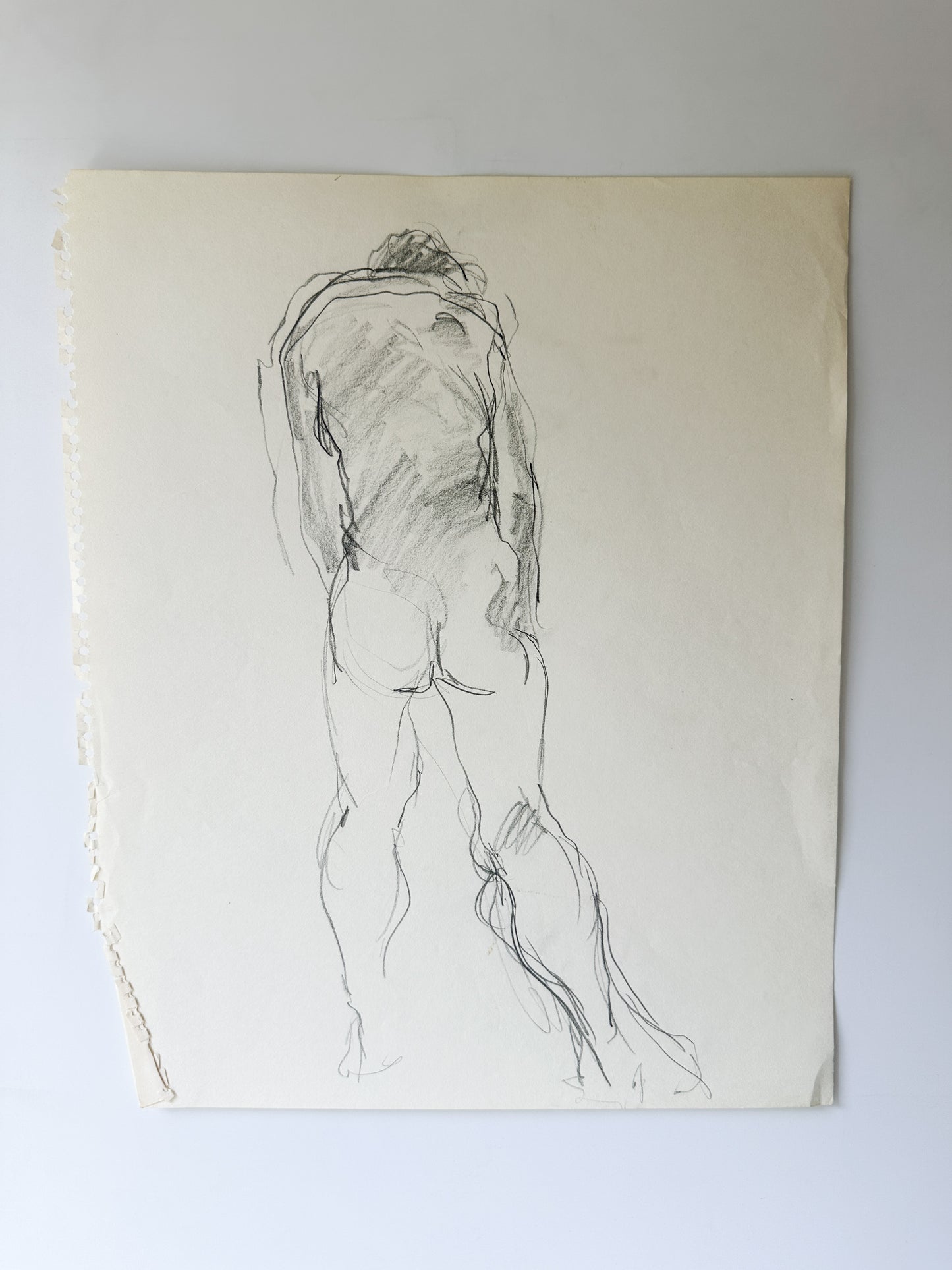 MULTIPLE OPTIONS - Nude Male Sketches by Jane Matteson (14"W x 17"H)