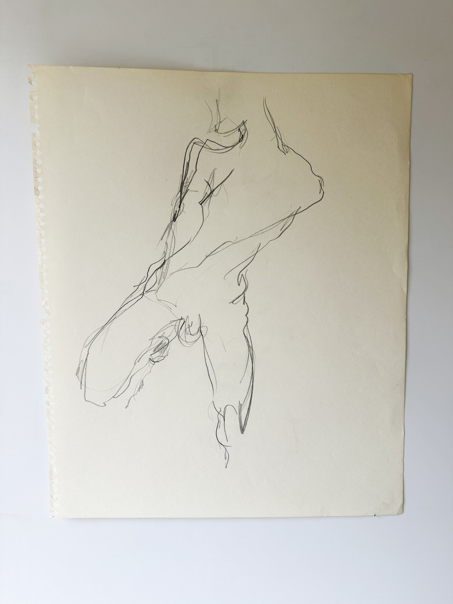 MULTIPLE OPTIONS - Nude Male Sketches by Jane Matteson (14"W x 17"H)