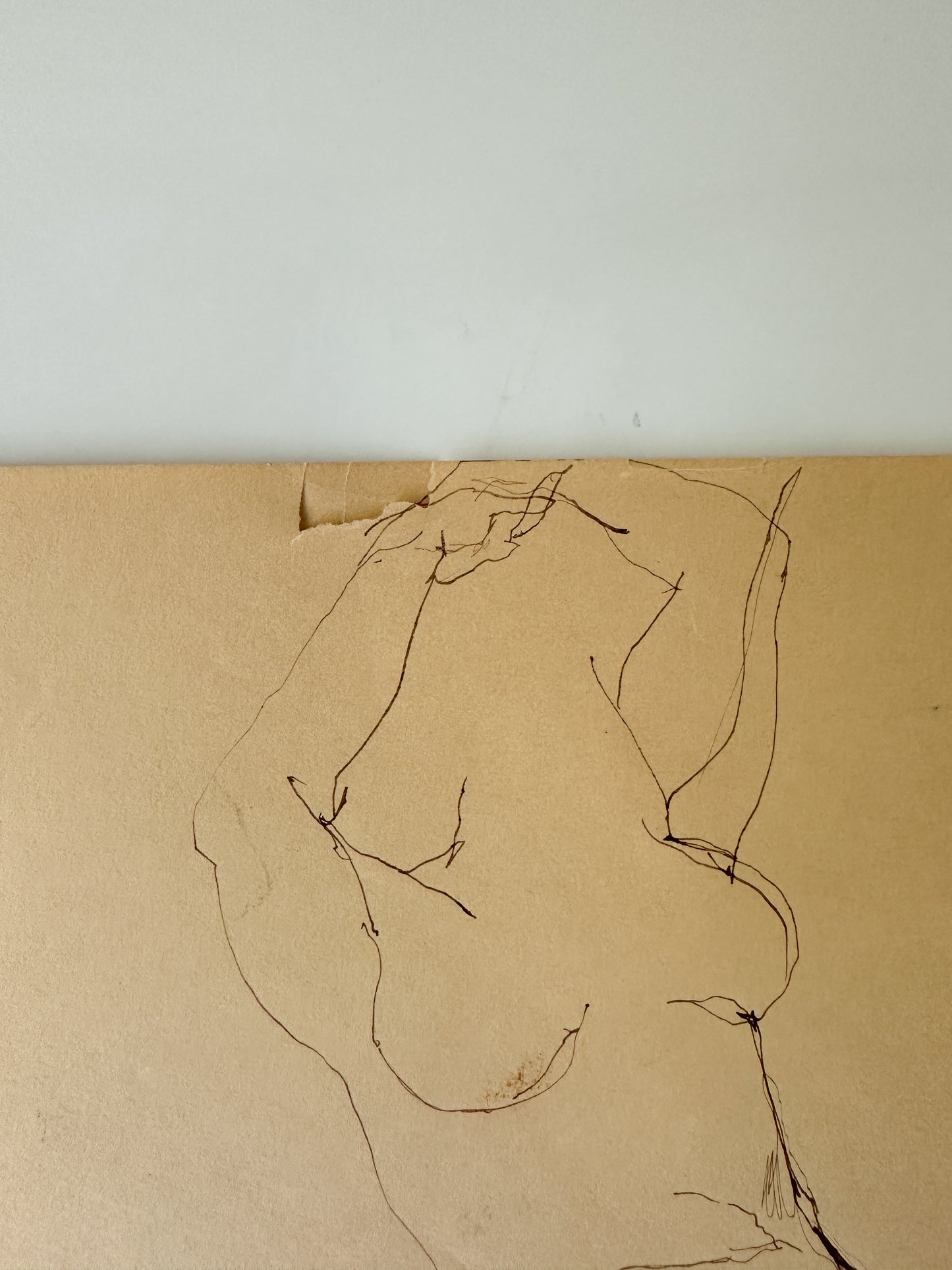 Nude Ink Sketch of a Woman by Jane Matteson (11"W x 14"H)