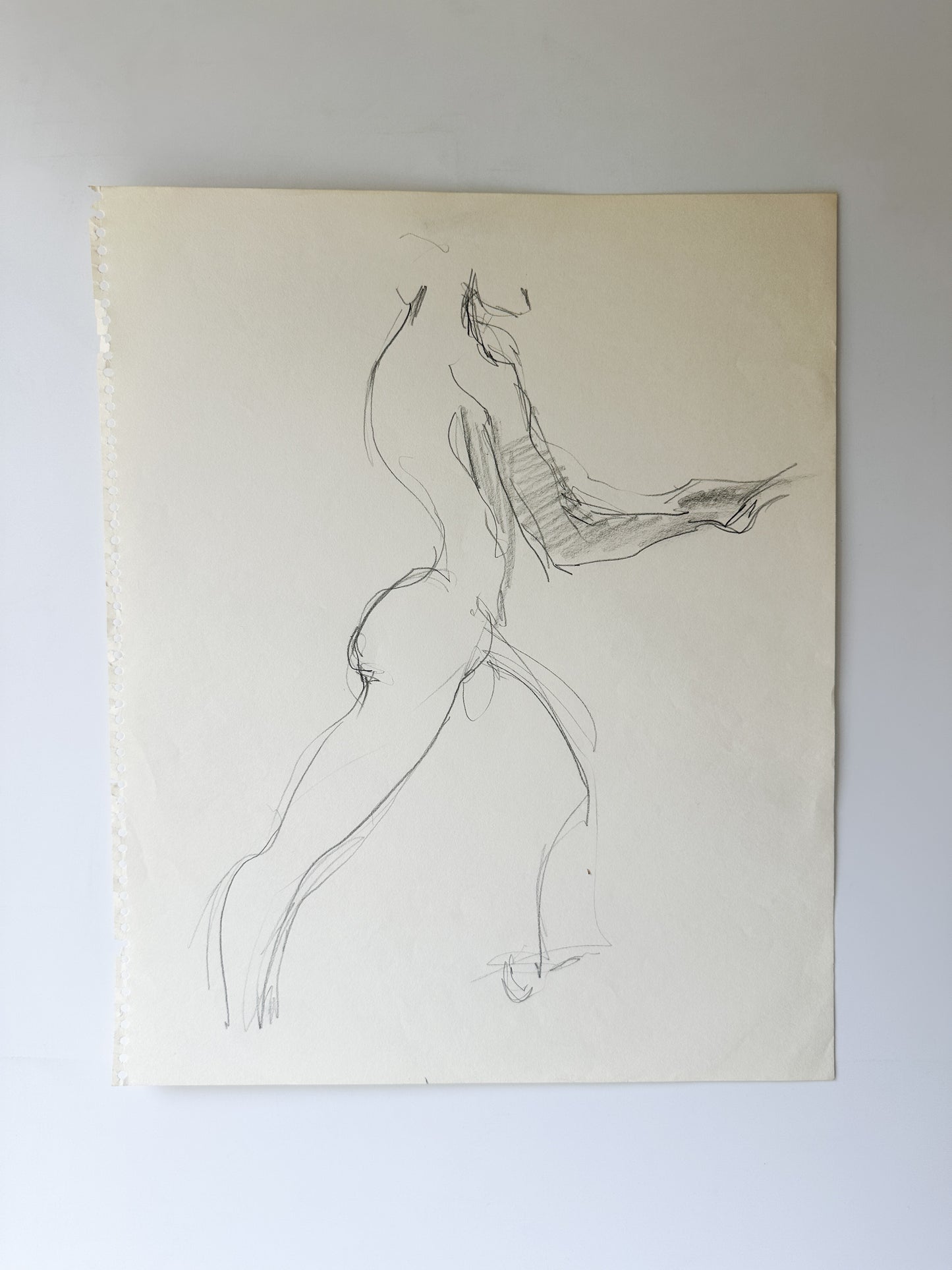 MULTIPLE OPTIONS - Nude Male Sketches by Jane Matteson (14"W x 17"H)