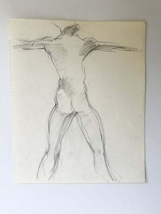 MULTIPLE OPTIONS - Nude Male Sketches by Jane Matteson (14"W x 17"H)