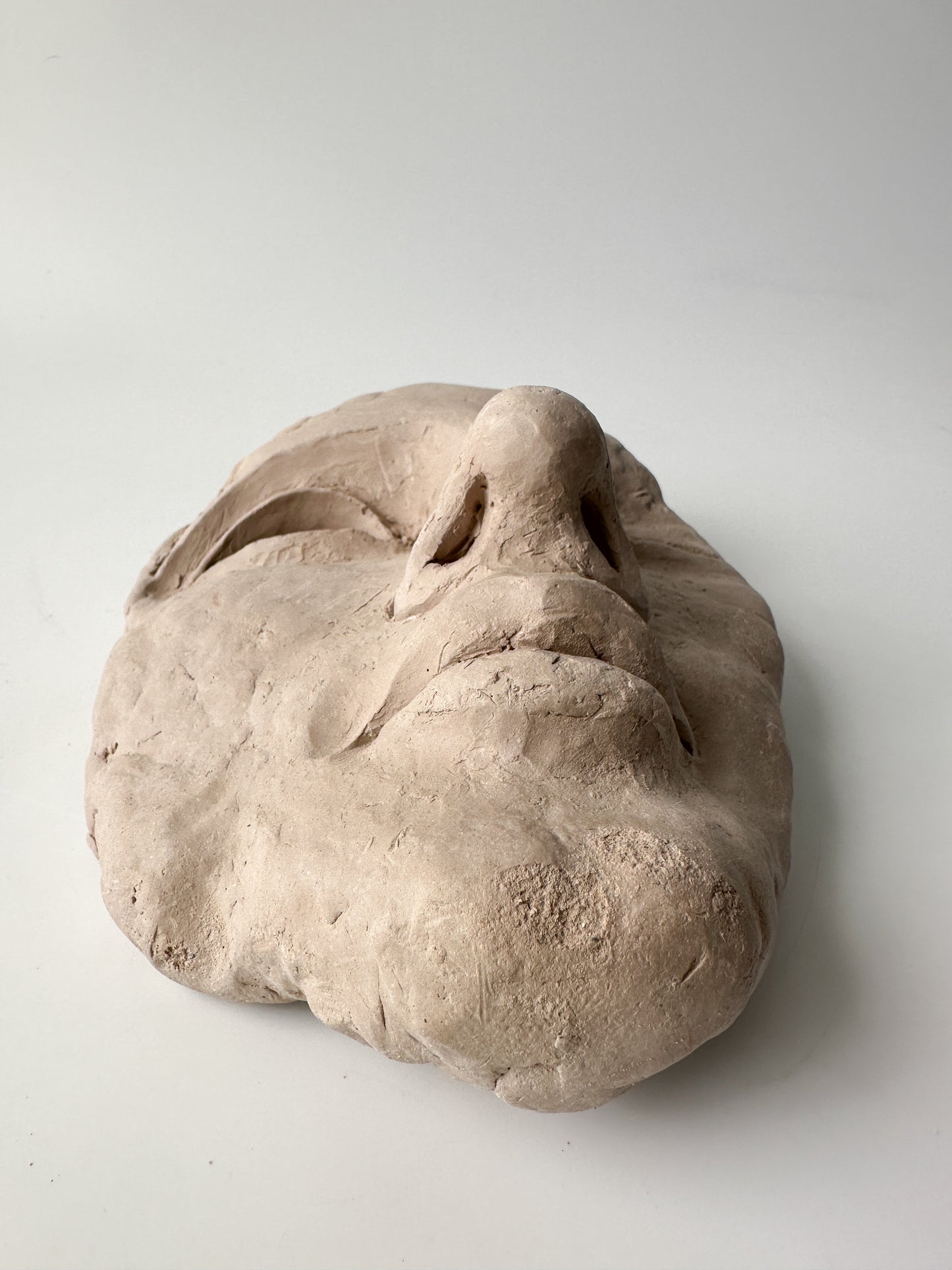 Clay Face Sculpture