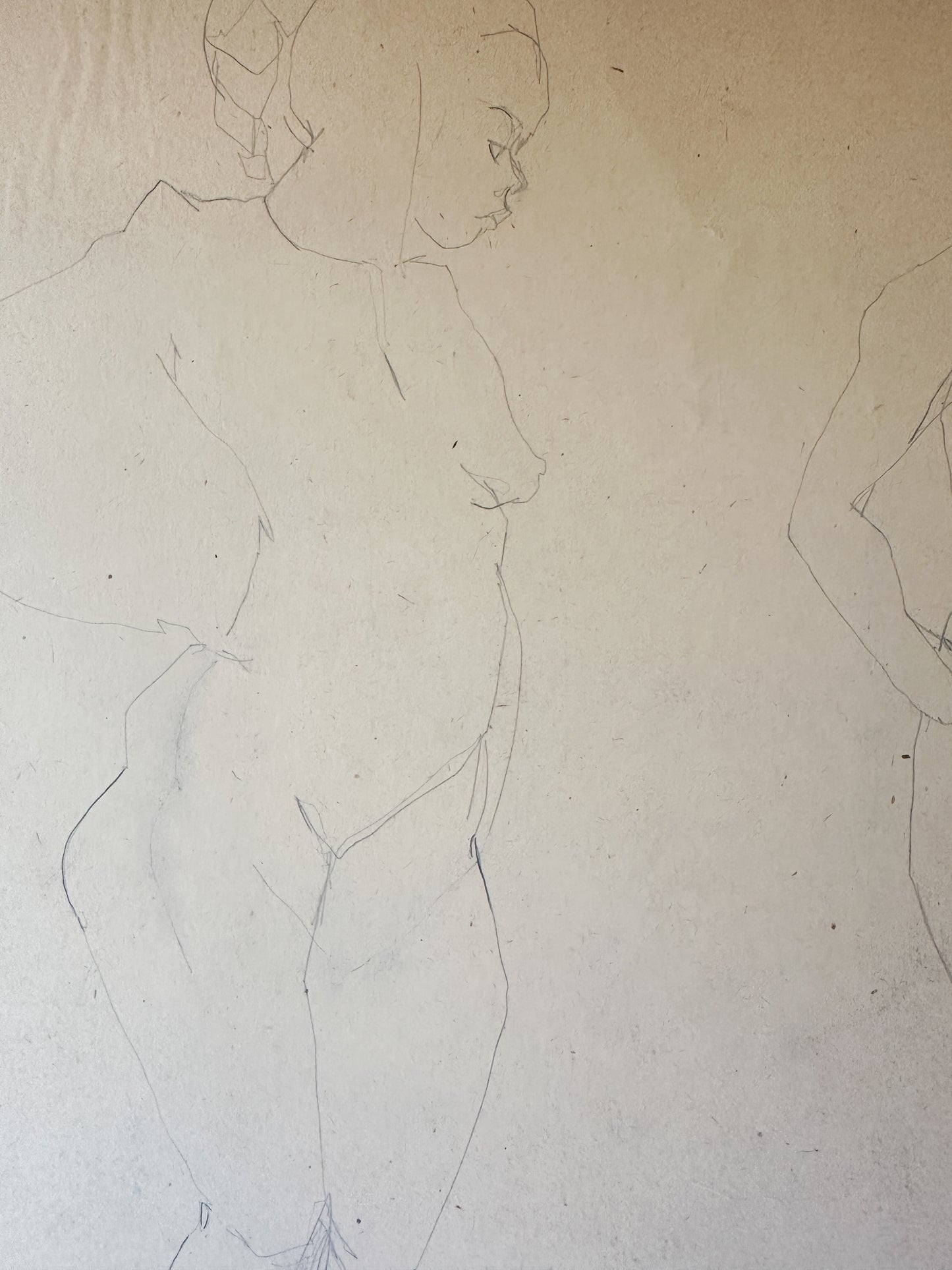 Two Nudes (Horizontal) Pencil Drawing by Jane Matteson (30.5"W x 22.5"H)