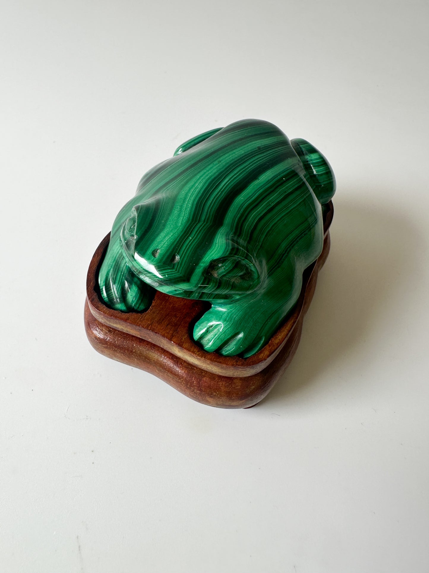 Polished Genuine Malachite Frog with Wood Stand (2.75"L x 2"W x 1"H)