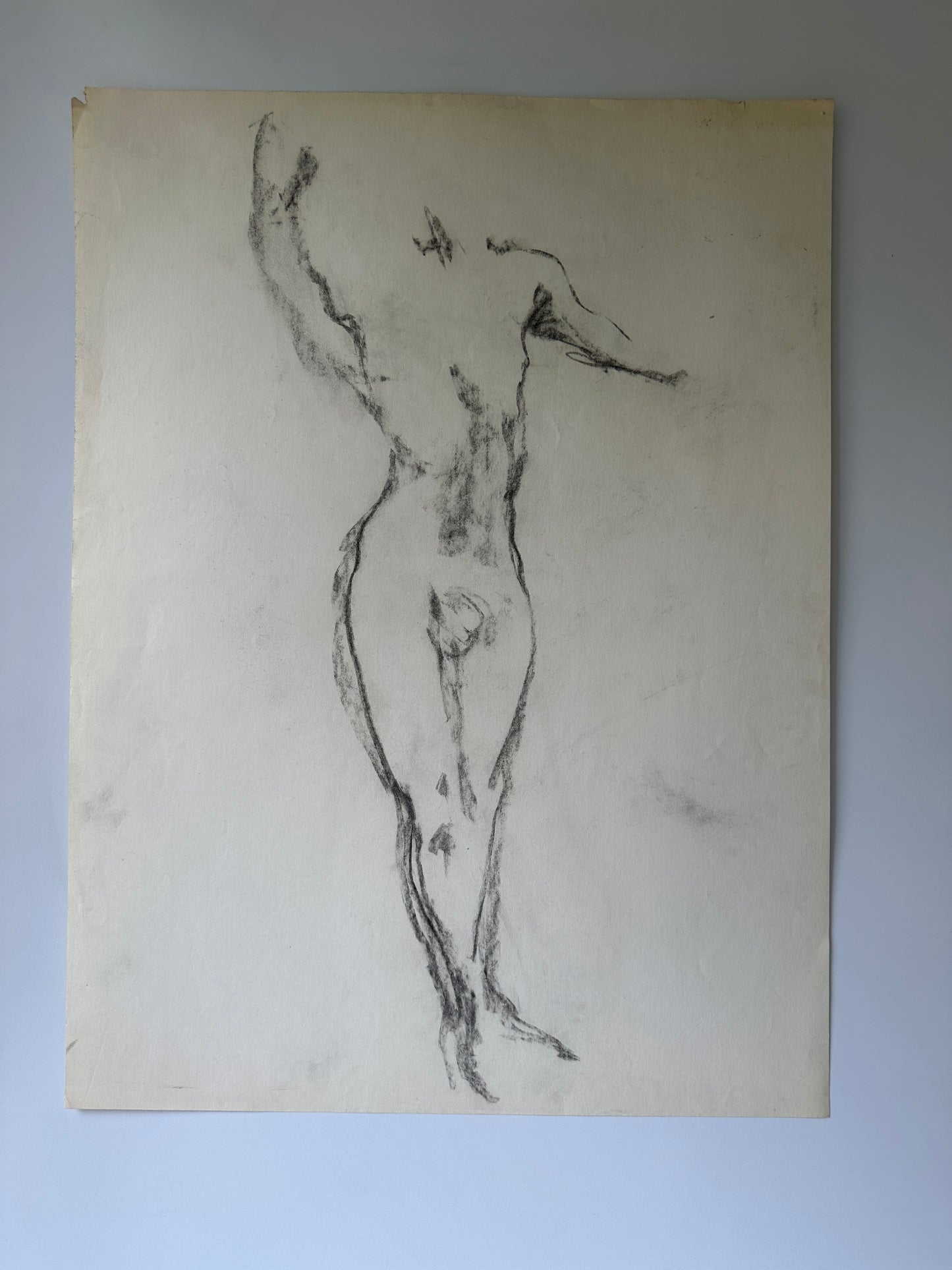 Double-Sided Nude Male II - Sketch by Jane Matteson (18"W x 24"H)