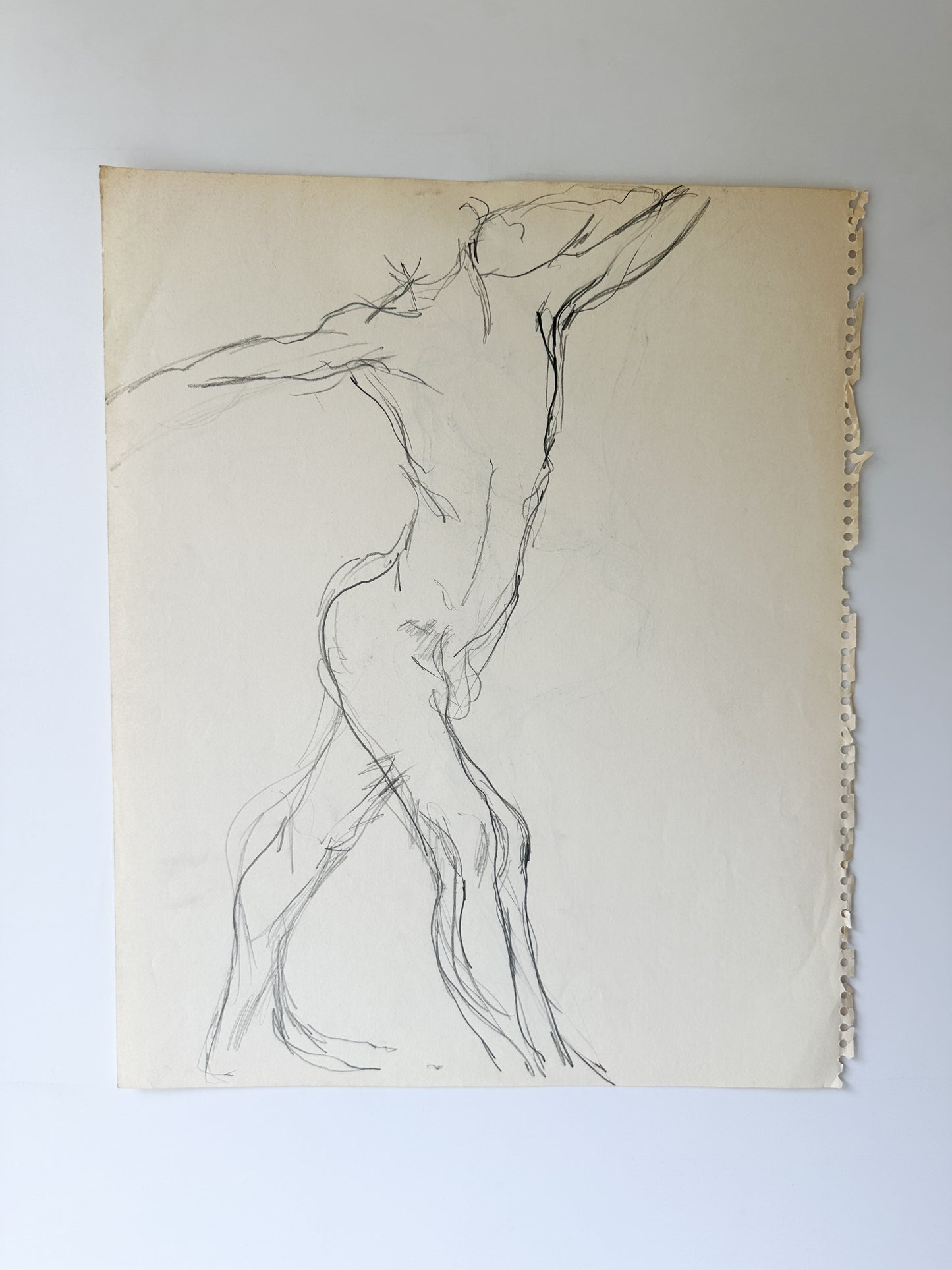 MULTIPLE OPTIONS - Nude Male Sketches by Jane Matteson (14"W x 17"H)