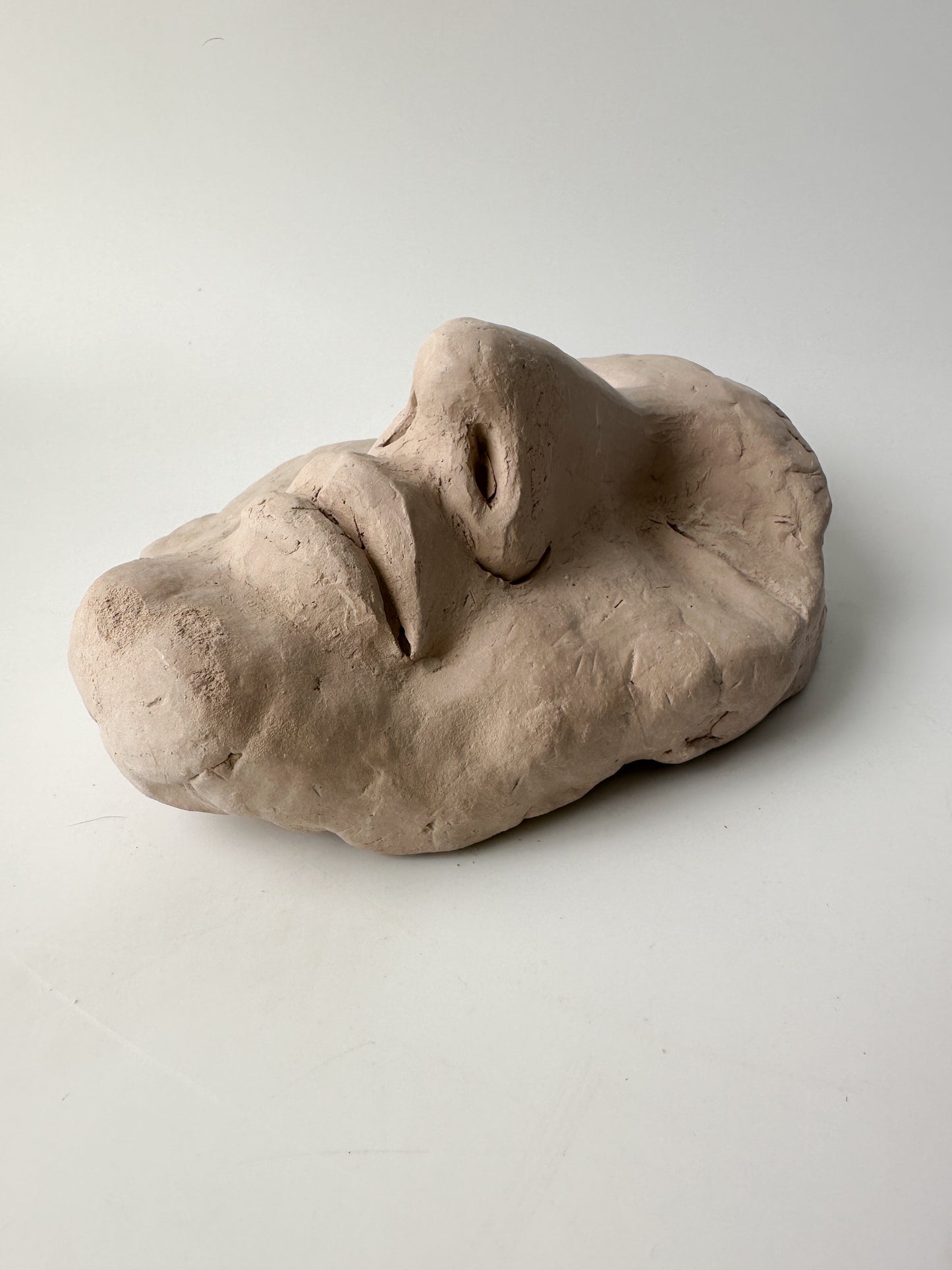 Clay Face Sculpture