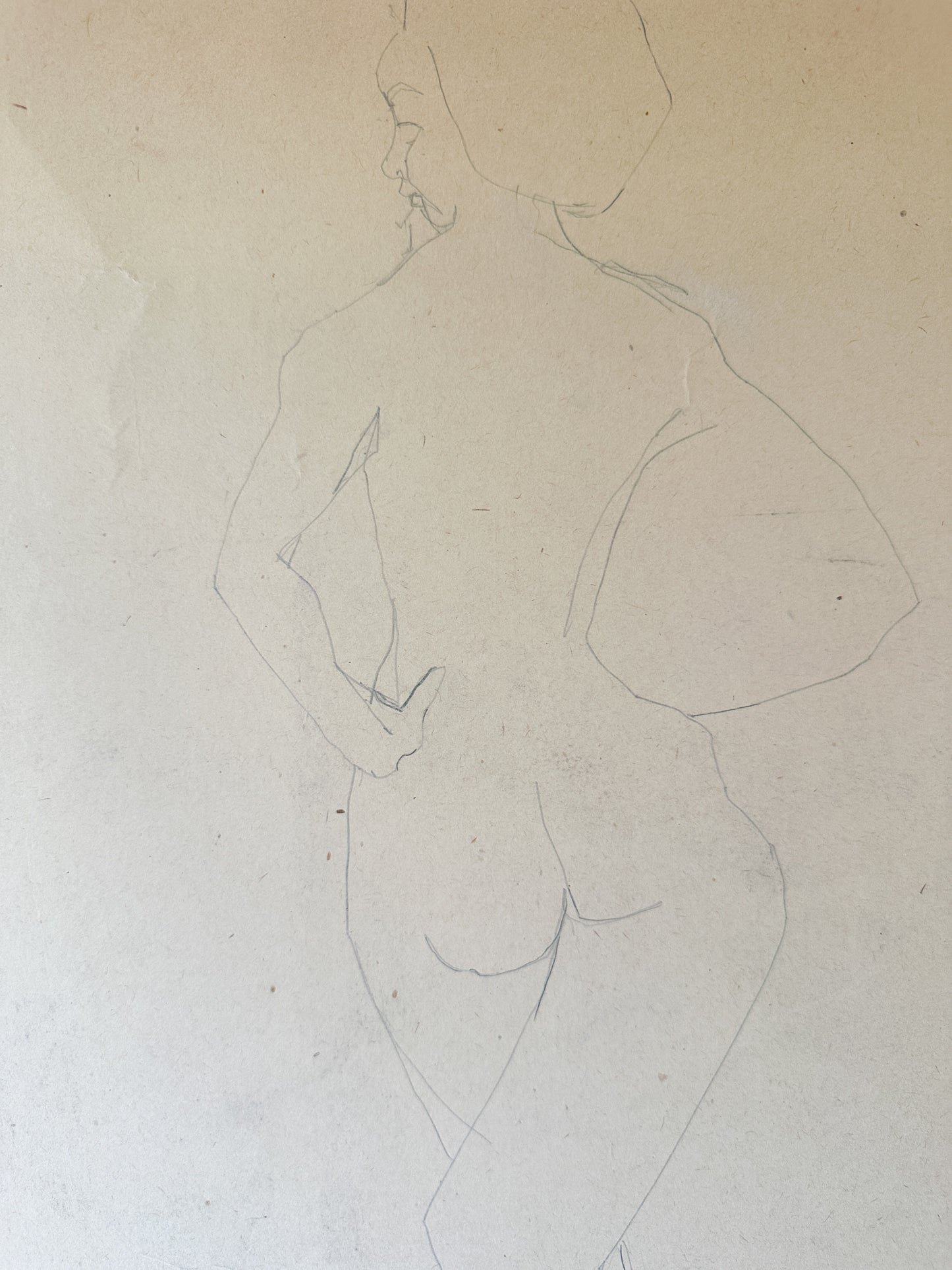 Two Nudes (Horizontal) Pencil Drawing by Jane Matteson (30.5"W x 22.5"H)