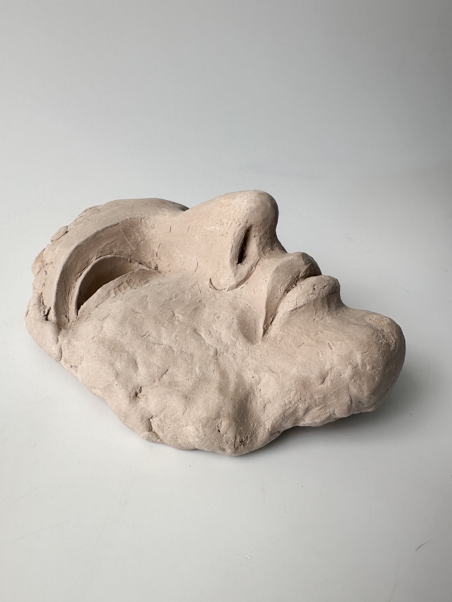 Clay Face Sculpture