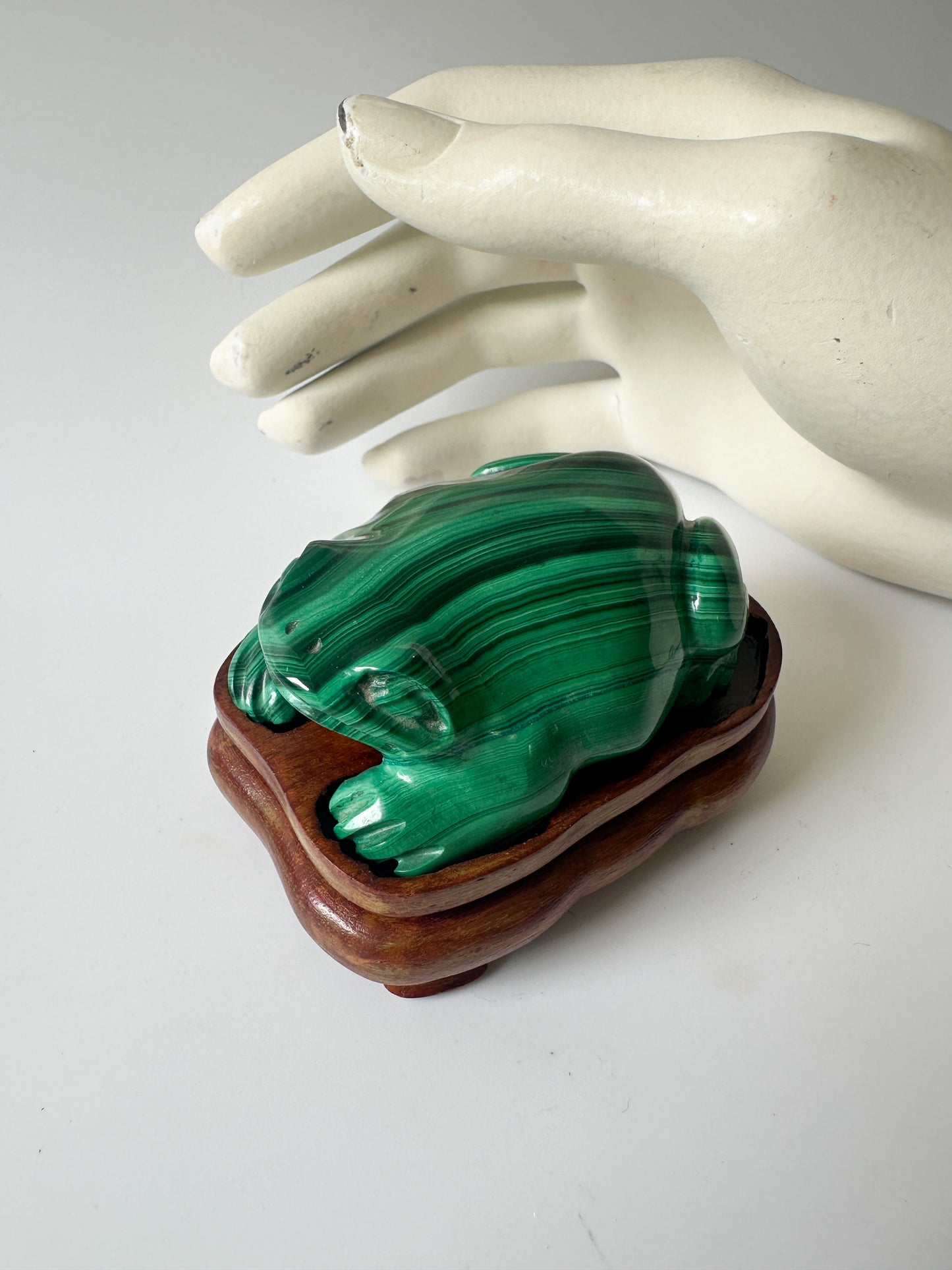 Polished Genuine Malachite Frog with Wood Stand (2.75"L x 2"W x 1"H)