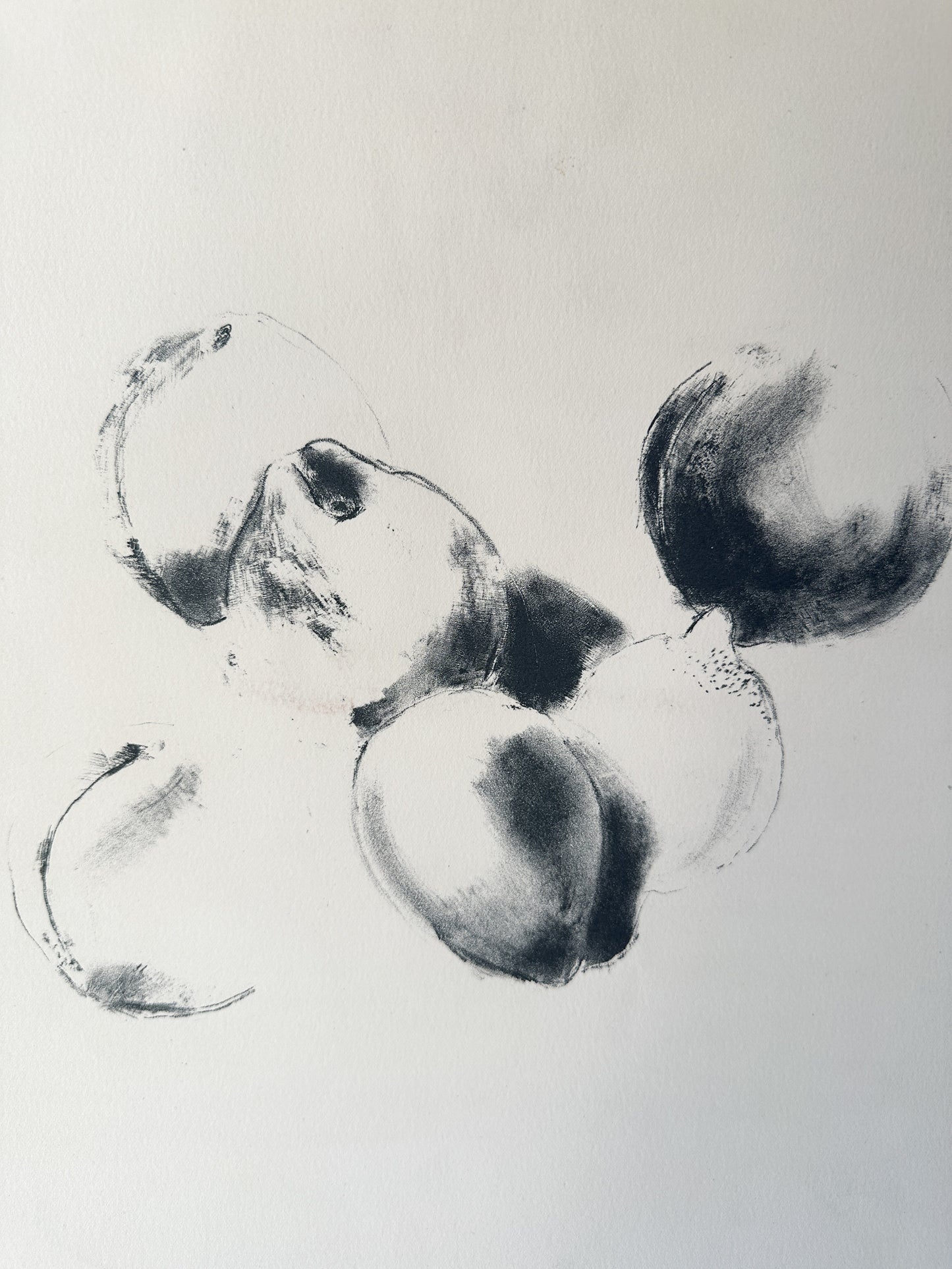 “TRANSCRIPTION FOR FRUIT” (for Erik Satie) Gnossienne No. 3 by Late Artist Jane Matteson