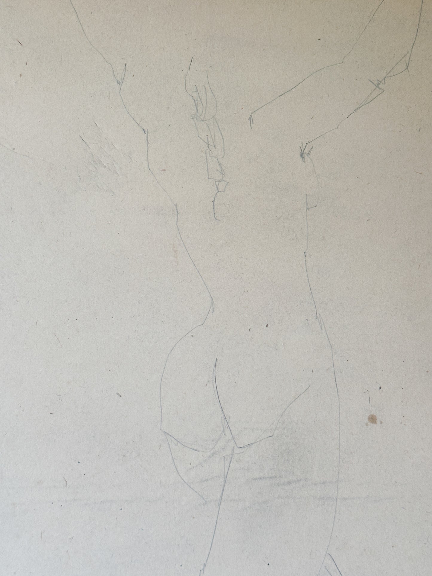 Nude (vertical) Pencil Drawing by Jane Matteson (15.5"W x 25.5"H)