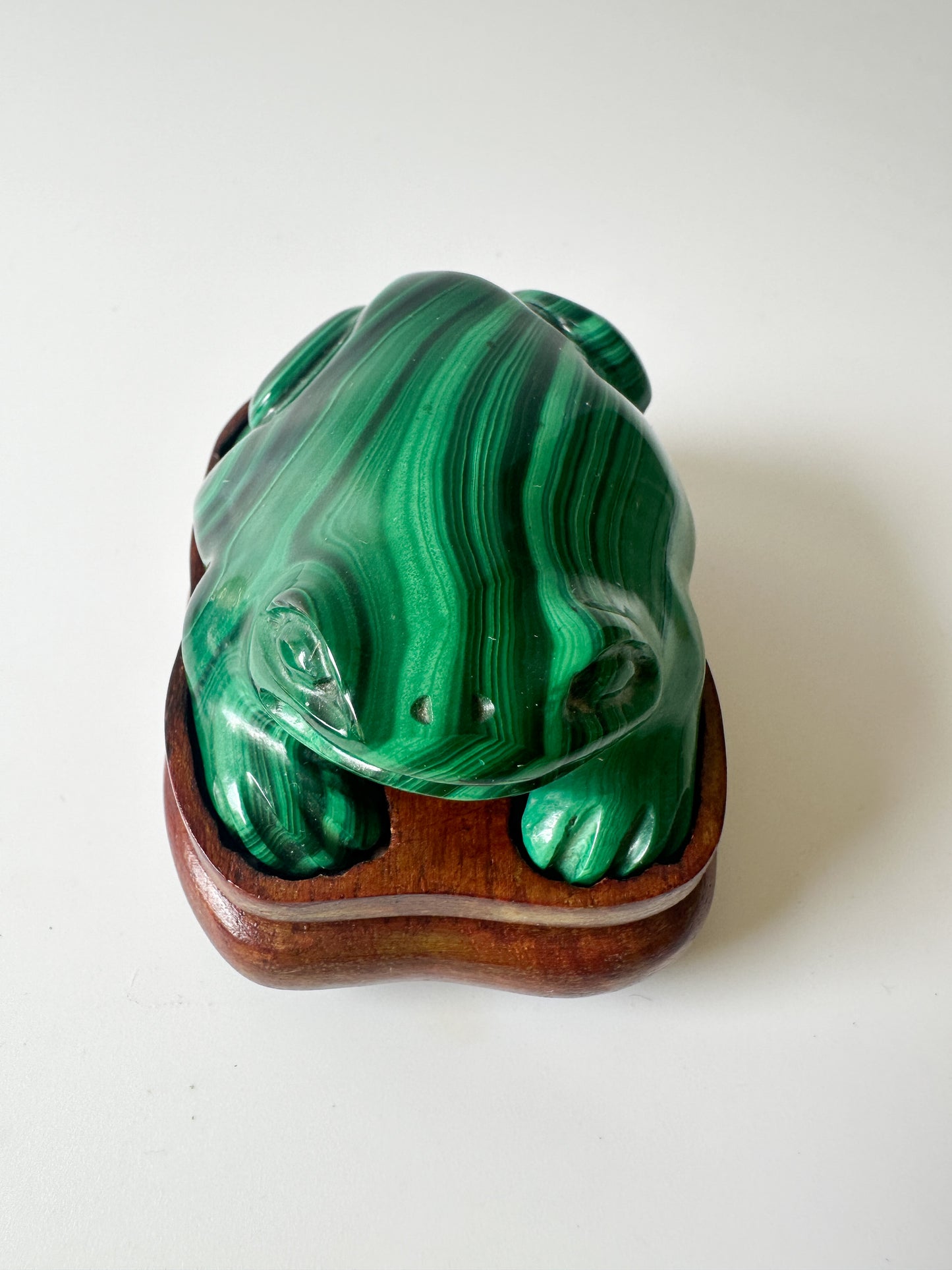 Polished Genuine Malachite Frog with Wood Stand (2.75"L x 2"W x 1"H)